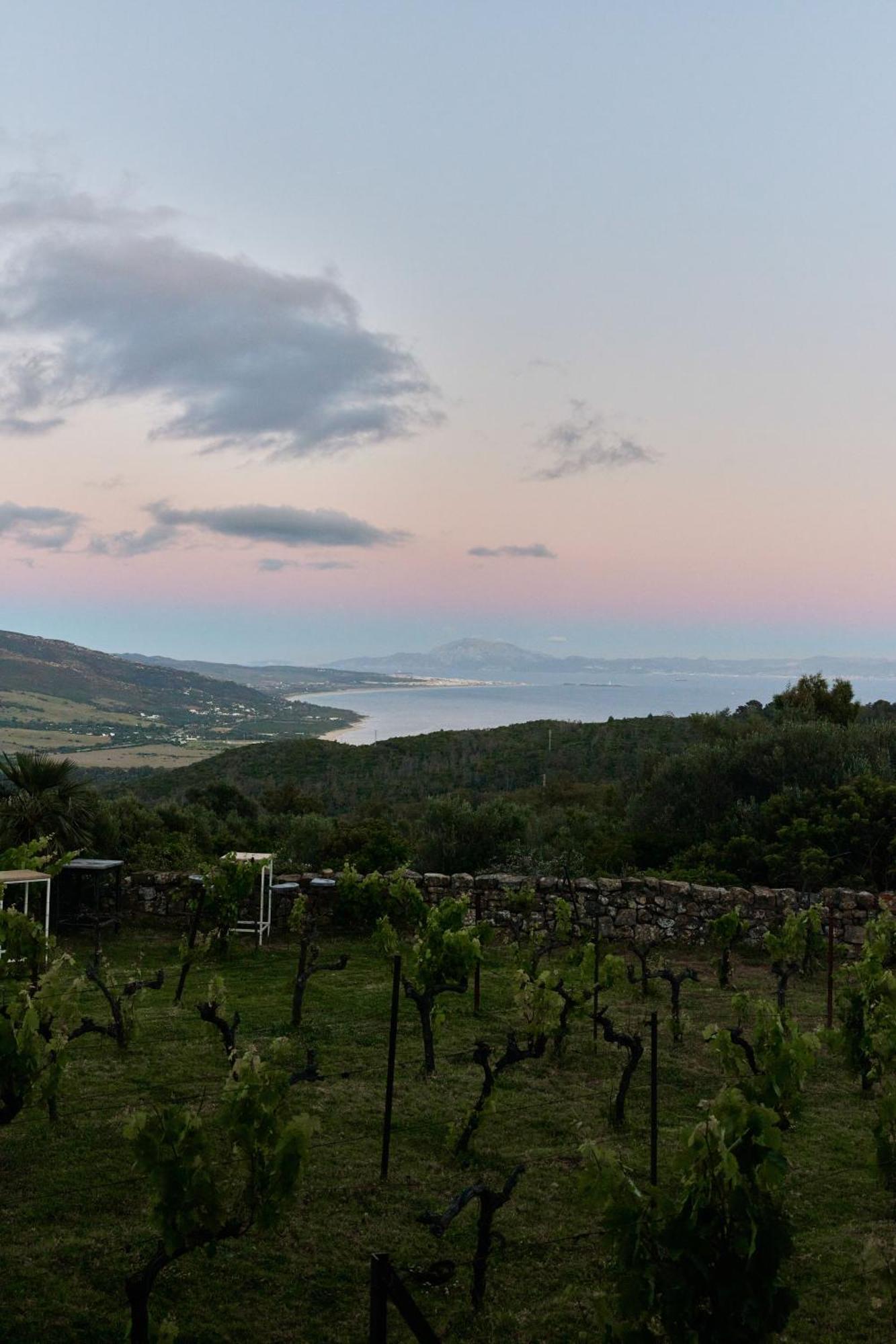 Taiga Tarifa Punta Paloma Ξενοδοχείο Εξωτερικό φωτογραφία